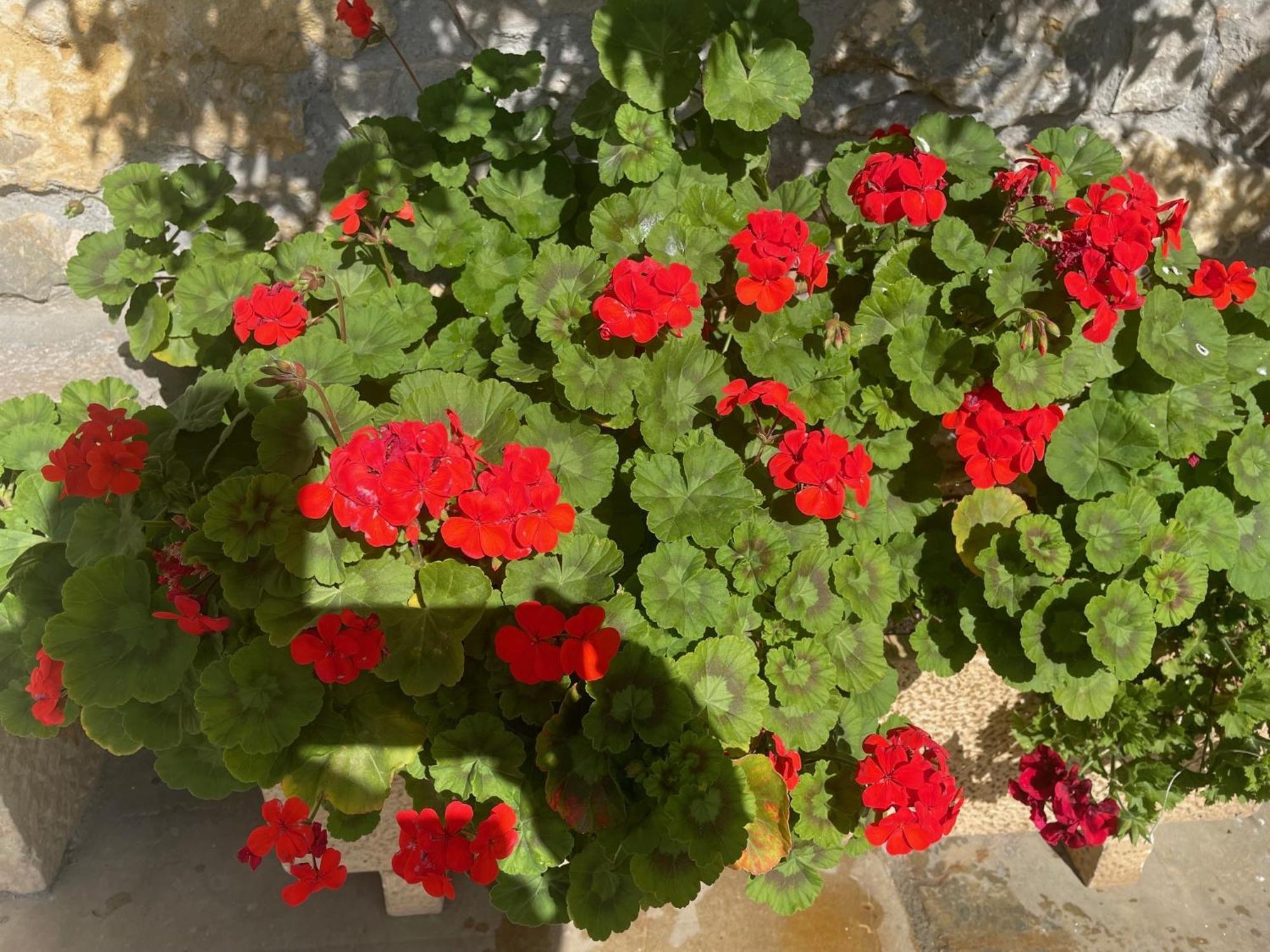 Miengo Posada La Victoria מראה חיצוני תמונה